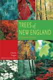 Charles Fergus Trees Of New England A Natural History 
