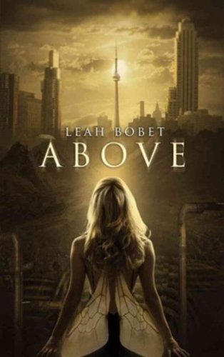 Leah Bobet/Above