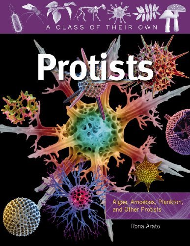 Rona Arato Protists Algae Amoebas Plankton And Other Protists 
