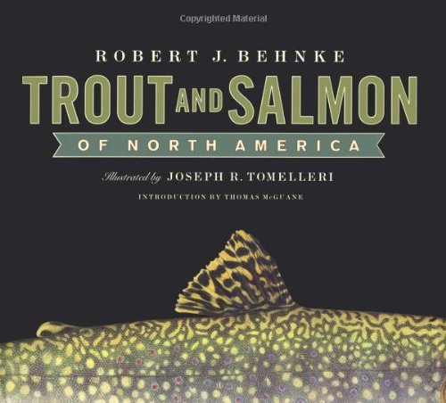 Robert Behnke Trout And Salmon Of North America 