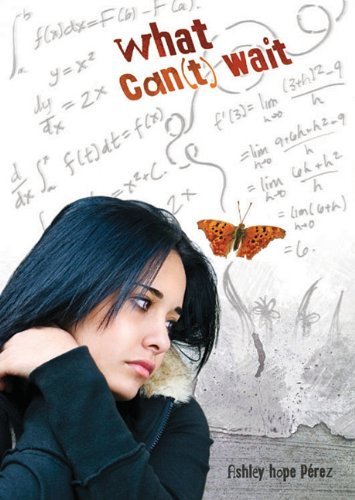 Ashley Hope Perez/What Can(T) Wait