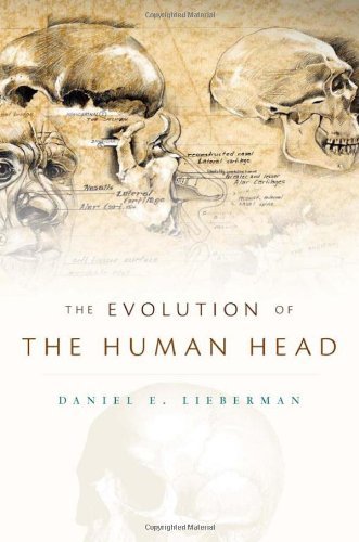 Daniel E. Lieberman The Evolution Of The Human Head 
