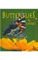 Bobbie Kalman Butterflies And Moths 