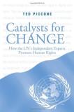 Ted Piccone Catalysts For Change How The Un's Independent Experts Promote Human Ri 