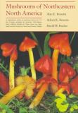 Alan Bessette Mushrooms Of Northeastern North America. In The Era Of World War I 