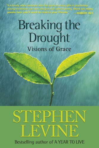 Levine Stephen Breaking The Drought Visions Of Grace 