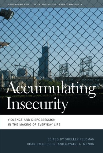 Feldman,Shelley (EDT)/ Geisler,Charles (EDT)/ Me/Accumulating Insecurity