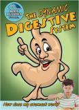 John Burstein The Incredible Digestive System How Does My Stomach Work? 