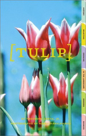 Theodore James/Tulip