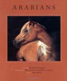 Hossein Amirsadeghi Arabians 