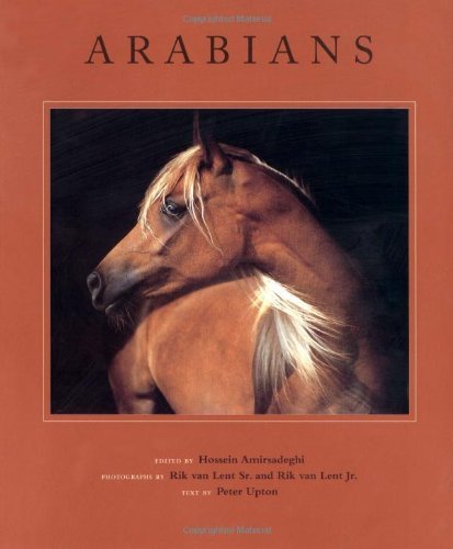 Hossein Amirsadeghi Arabians 