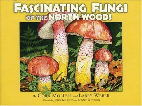 Cora Mollen Fascinating Fungi Of The North Woods 
