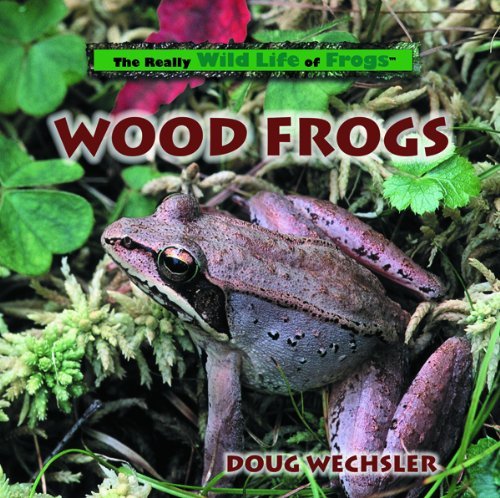 Doug Wechsler Wood Frogs Lib 