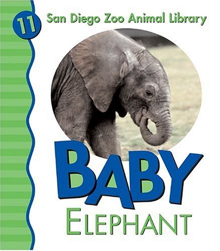 San Diego Zoo Baby Elephant 