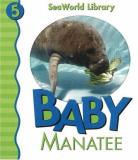 Patricia A. Pingry Baby Manatee 