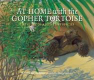 Madeleine Dunphy At Home With The Gopher Tortoise The Story Of A Keystone Species 
