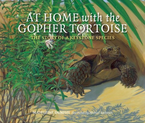 Madeleine Dunphy At Home With The Gopher Tortoise The Story Of A Keystone Species 