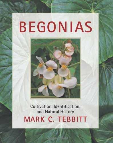 Mark C. Tebbitt Begonias Cultivation Identification And Natural History 
