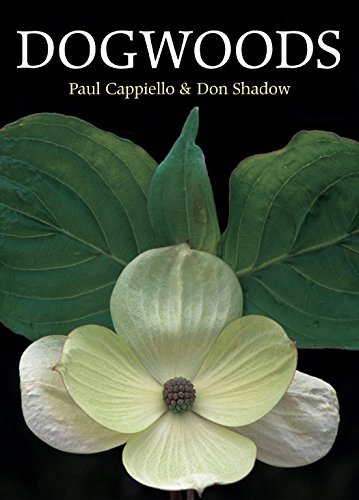 Paul Cappiello Dogwoods The Genus Cornus 