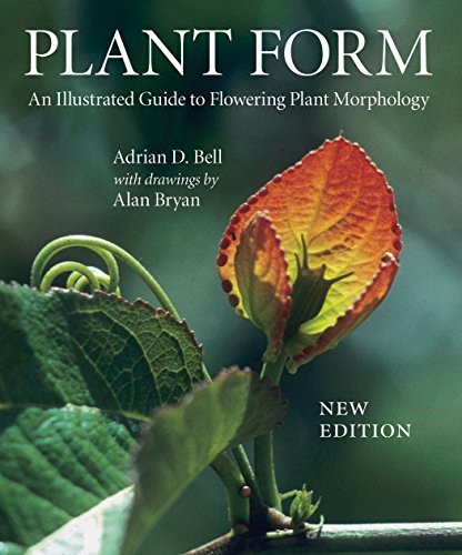 Adrian D. Bell Plant Form An Illustrated Guide To Flowering Plant Morpholog 0002 Edition; 