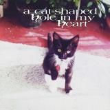 Cat Shaped Hole In My Heart Cat Shaped Hole In My Heart Vanflower Changelings Thorn Area Shotgun Wedding 