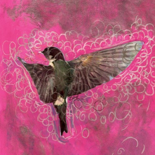 Lovesliescrushing/Girl Echo Suns Veils