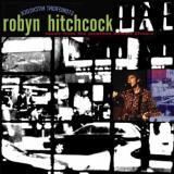 Robyn Hitchcock Storefront Hitchcock 