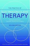 American Psychiatric Association The Practice Of Electroconvulsive Therapy Recommendations For Treatment Training And Priv 0002 Edition; 