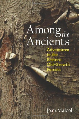 Joan Maloof Among The Ancients Adventures In The Eastern Old Growth Forests 