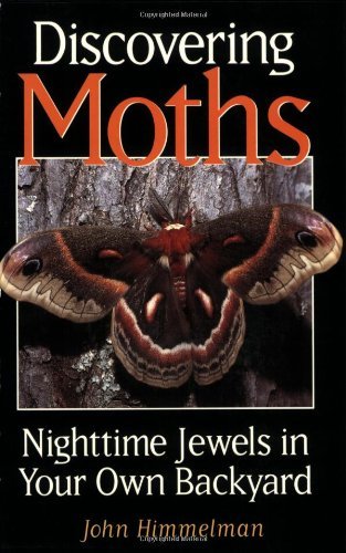 John Himmelman Discovering Moths Nighttime Jewels In Your Own Backyard 