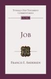 Francis I. Andersen Job An Introduction And Commentary 