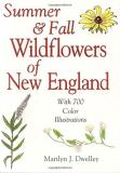 Pamela Love Summer & Fall Wildflowers Of New England 0 Edition; 