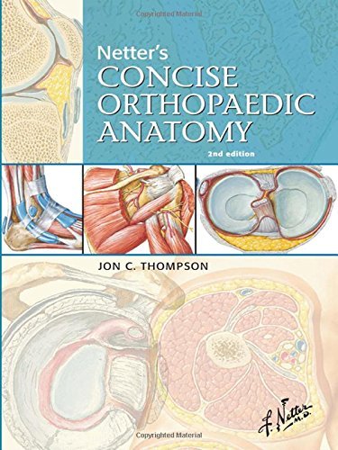 Jon C. Thompson Netter's Concise Orthopaedic Anatomy 0002 Edition; 