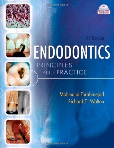 Mahmoud Torabinejad Endodontics Principles And Practice [with Dvd] 0004 Edition; 