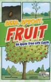 Shannon Barefield Seed Sprout Fruit An Apple Tree Life Cycle 