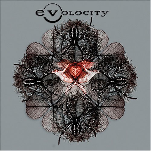 Evolocity/Evolocity