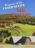 Mark Stewart New England 