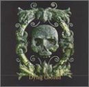 Dying Ground/Dying Ground@Import-Jpn