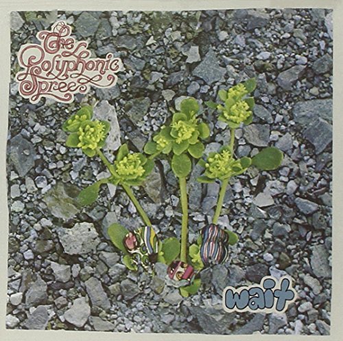 Polyphonic Spree/Wait@Wait