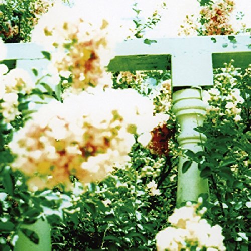 Unwed Sailor/Little Wars