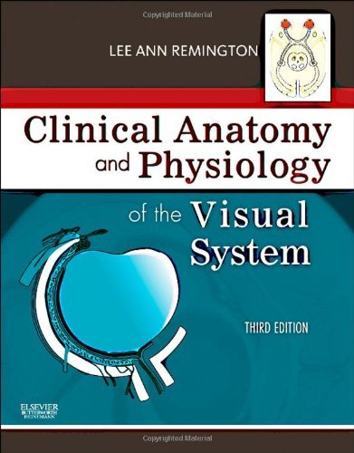 Lee Ann Remington Clinical Anatomy And Physiology Of The Visual Syst 0003 Edition; 