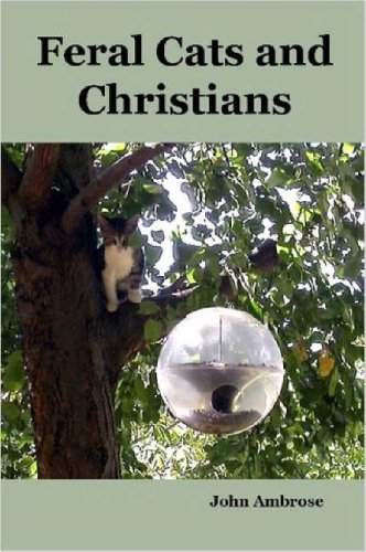 Ambrose John Jr. Feral Cats And Christians 