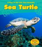 Louise A. Spilsbury Sea Turtle 