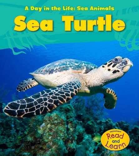 Louise A. Spilsbury Sea Turtle 