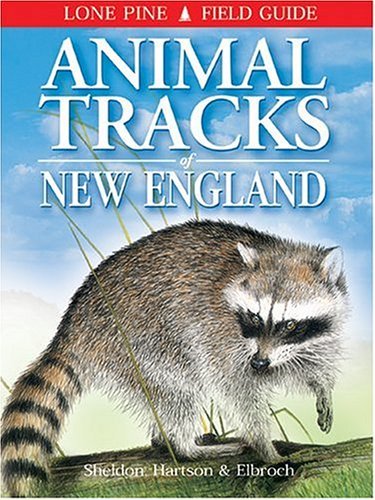 Ian Sheldon Animal Tracks Of New England 
