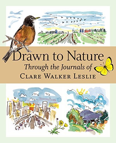 Clare Walker Leslie Drawn To Nature Through The Journals Of Clare Walker Leslie 