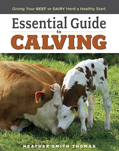 Heather Smith Thomas Essential Guide To Calving Giving Your Beef Or Dairy Herd A Healthy Start 