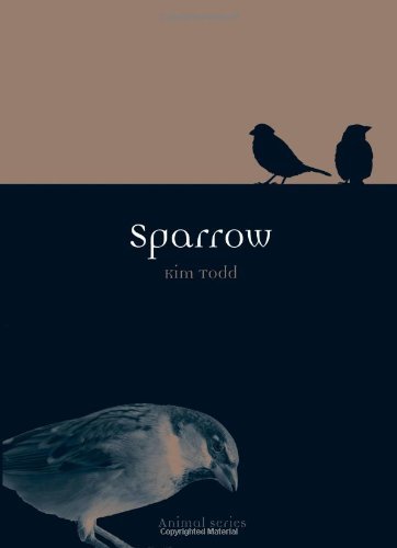 Kim Todd Sparrow 