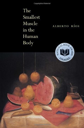 Alberto Rios/The Smallest Muscle in the Human Body