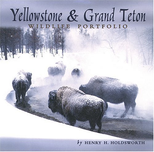 Henry H. Holdsworth/Yellowstone & Grand Teton Wildlife